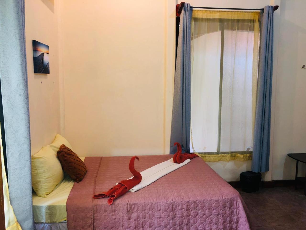 Hotel Cocodrilo Sierpe Kültér fotó